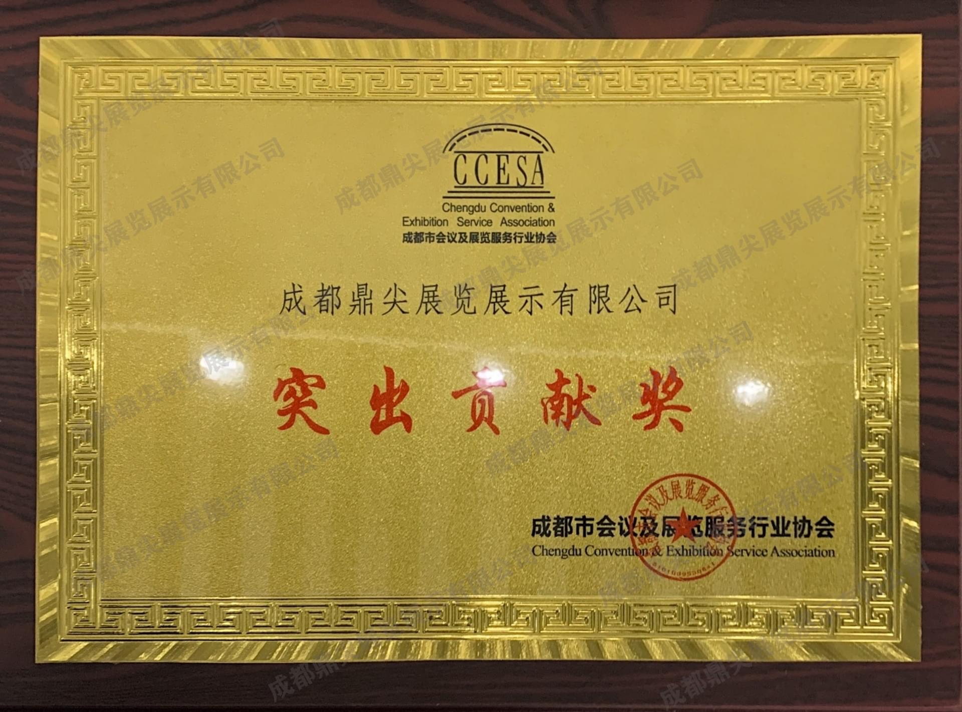 突出貢獻(xiàn)獎(jiǎng)